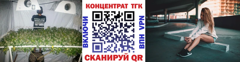MEGA   где купить наркоту  Партизанск  Дистиллят ТГК THC oil 
