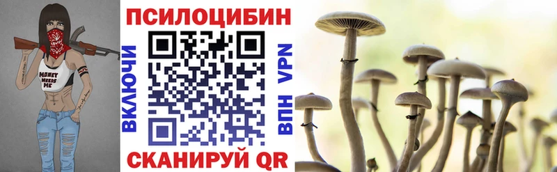 Псилоцибиновые грибы Psilocybe  ссылка на мегу как войти  Партизанск 